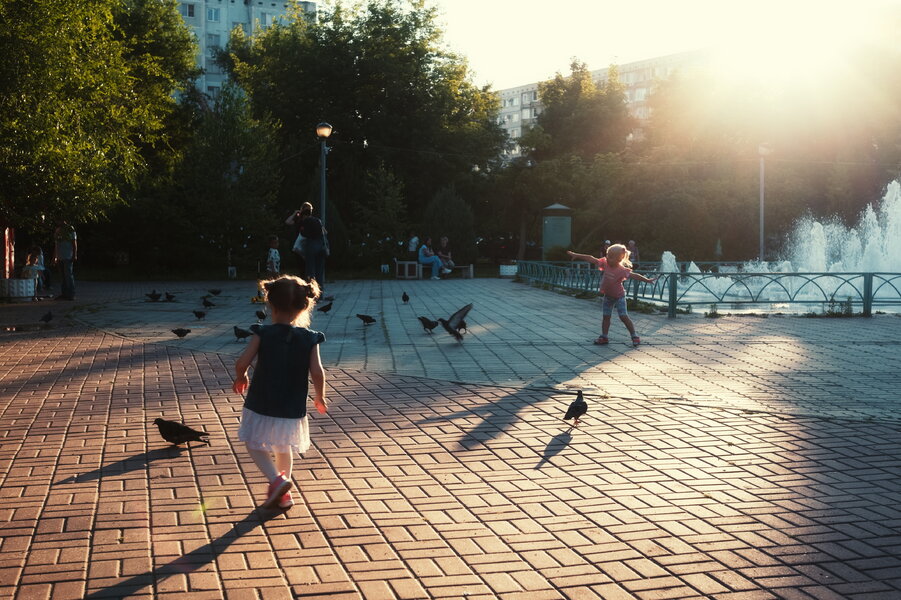 P1011034_1.jpg