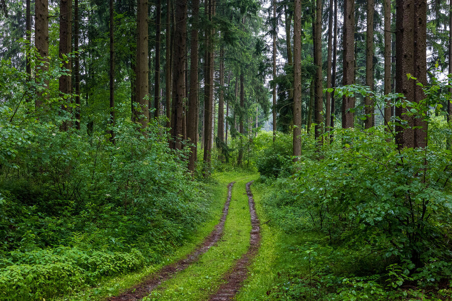 P1054171-2.jpg