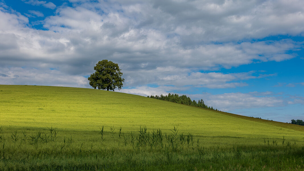 P1054199-4.jpg