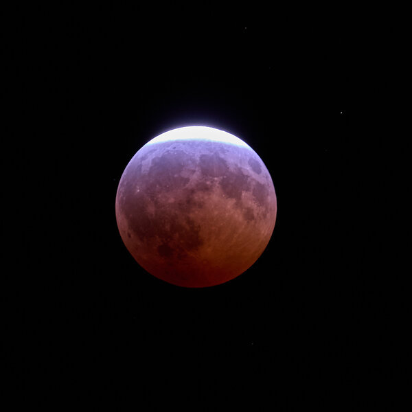 P1423580-X2.jpg P1423580-X2.jpg