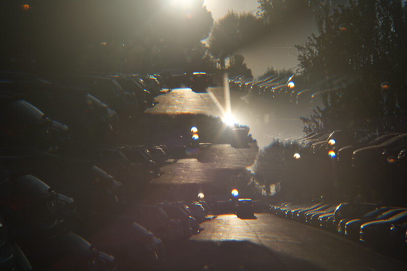 55544686267_ce5658b050_c.jpg