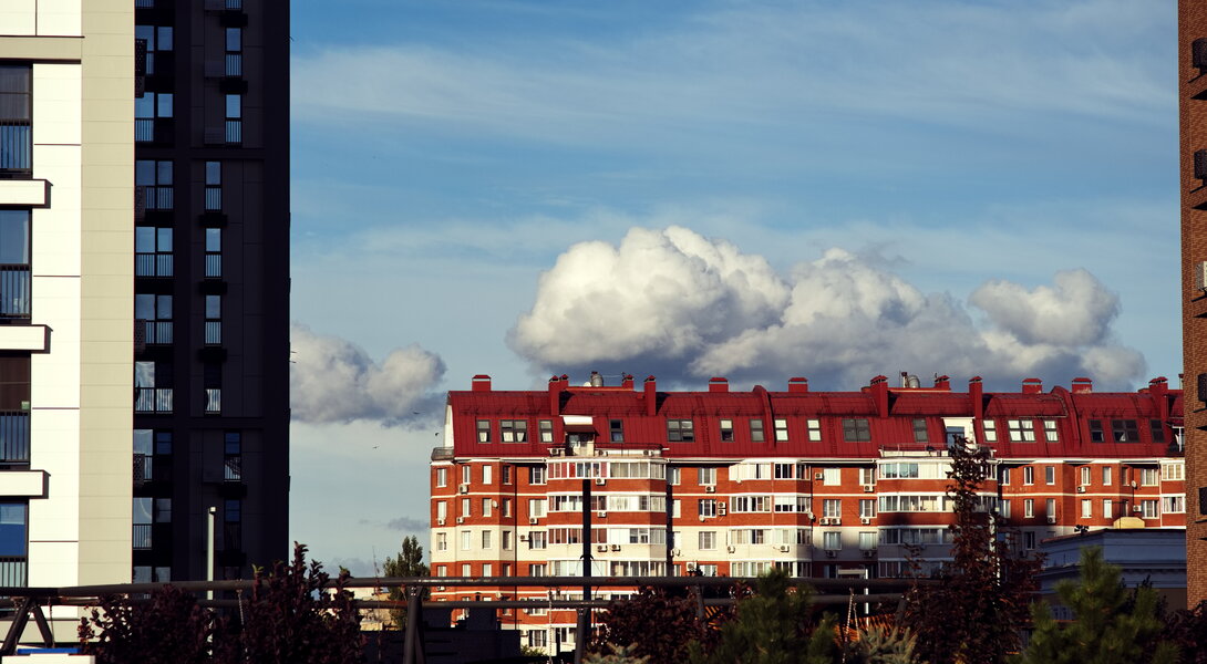 P1012067_1.jpg