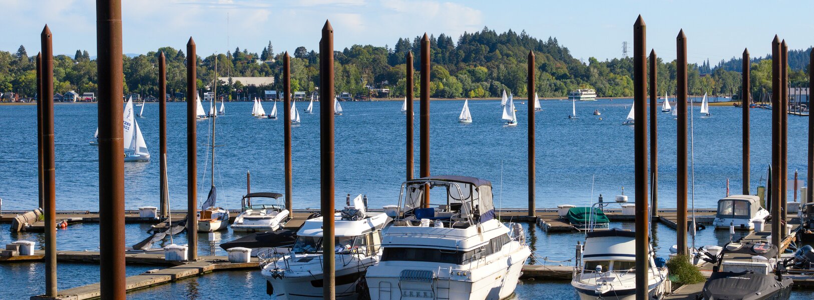 pjd_260927-p1015289-sailboats-on-willamette-river_l.jpg