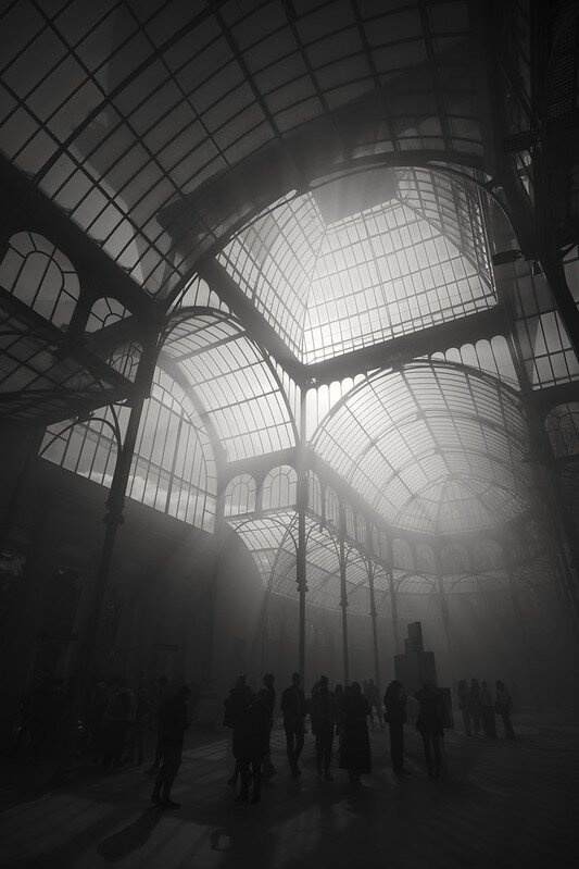 52739209869_09d1d79d1c_c.jpg 52739209869_09d1d79d1c_c.jpg