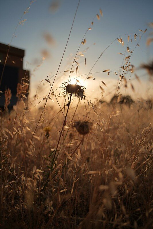 53125921880_3d65ec3519_c.jpg 53125921880_3d65ec3519_c.jpg