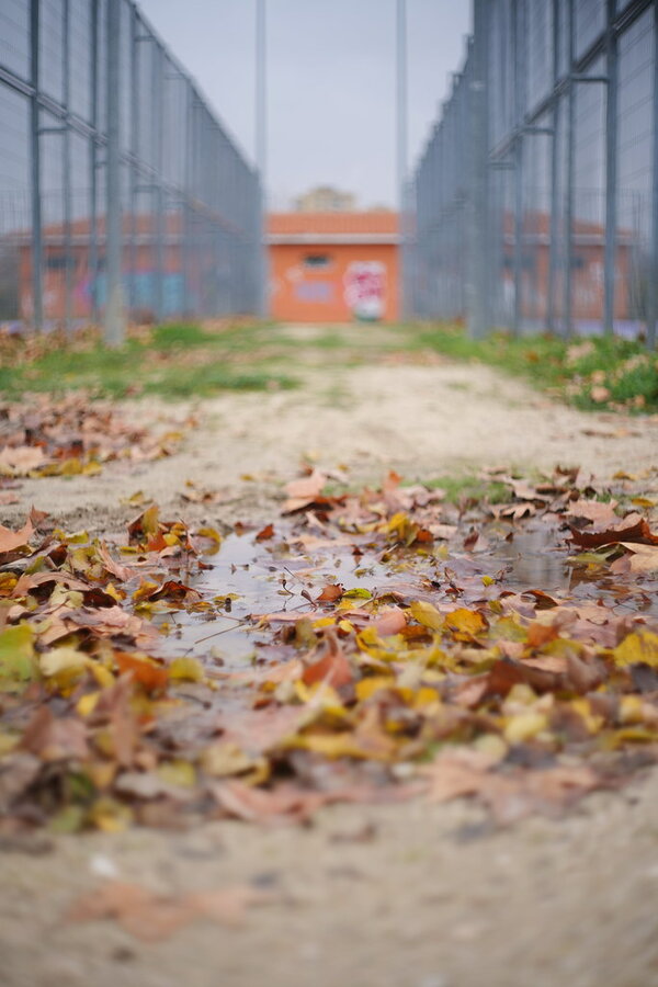 53394054695_82fd3c6ea0_b.jpg 53394054695_82fd3c6ea0_b.jpg