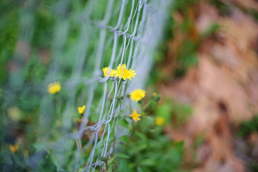 53393804213_559c5ed477_b.jpg 53393804213_559c5ed477_b.jpg