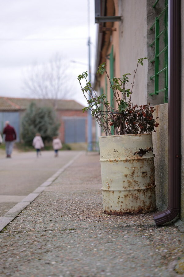 53440844719_17f57a294a_b.jpg 53440844719_17f57a294a_b.jpg