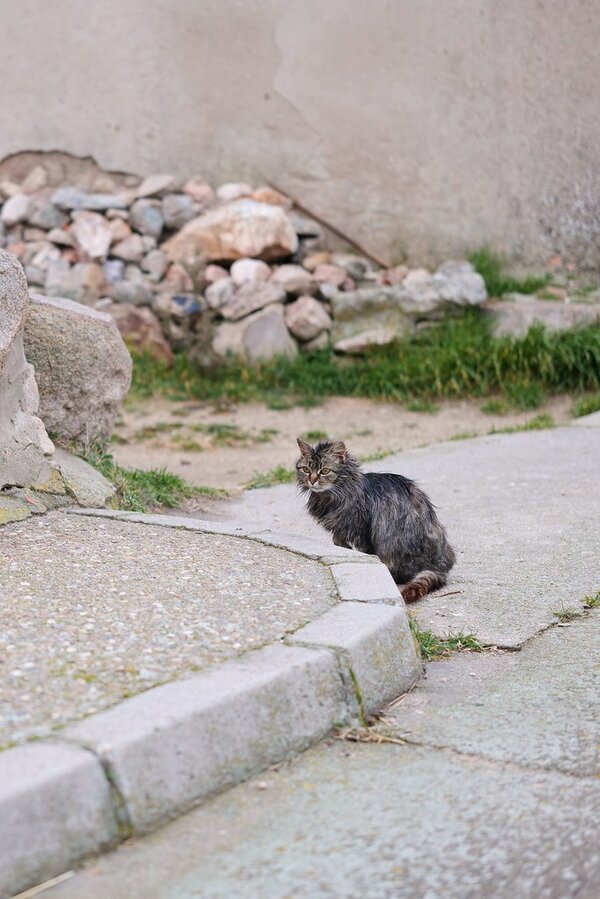 53439608822_ef4df97d80_b.jpg 53439608822_ef4df97d80_b.jpg