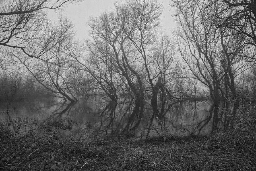 drowned bank [P17469] (Large).jpg