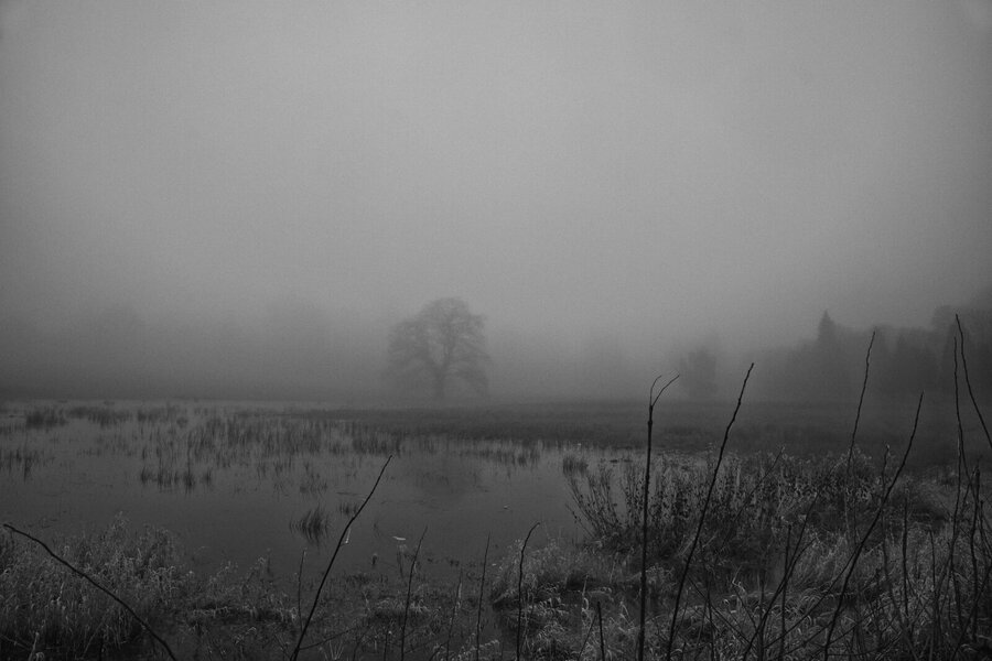 drowned field [P17511] (Large).jpg