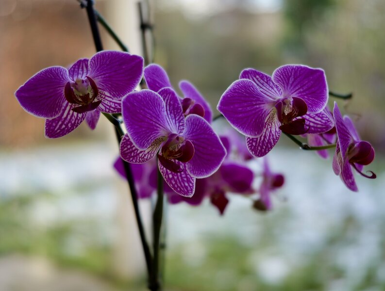 PANA0173.jpeg PANA0173.jpeg