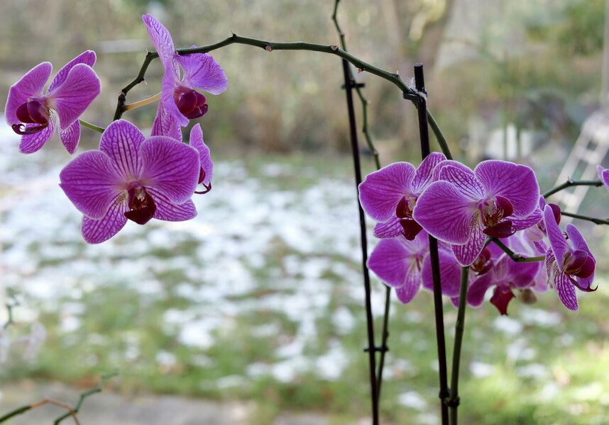 PANA0182.jpeg PANA0182.jpeg