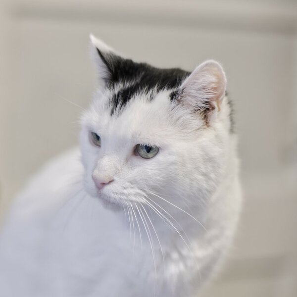 Schweppes Zeiss 50mm f14 [P17765] (Large).jpg