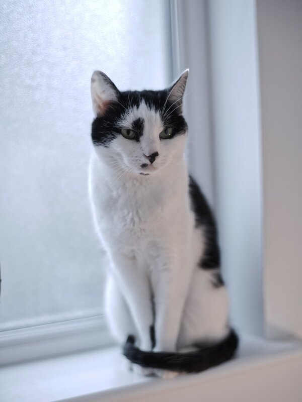 Rin-Rin Zeiss 50mm f2 [P17761] (Large).jpg