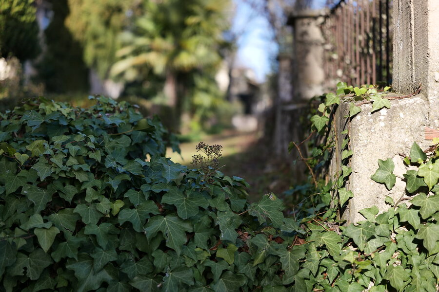 53488573152_481ba2ccaf_b.jpg 53488573152_481ba2ccaf_b.jpg