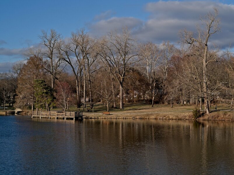 20230313-SDIM4738.jpg 20230313-SDIM4738.jpg