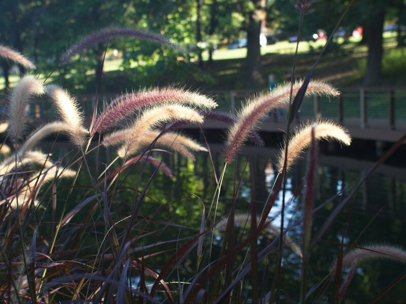 20210925-P9253537.jpg 20210925-P9253537.jpg