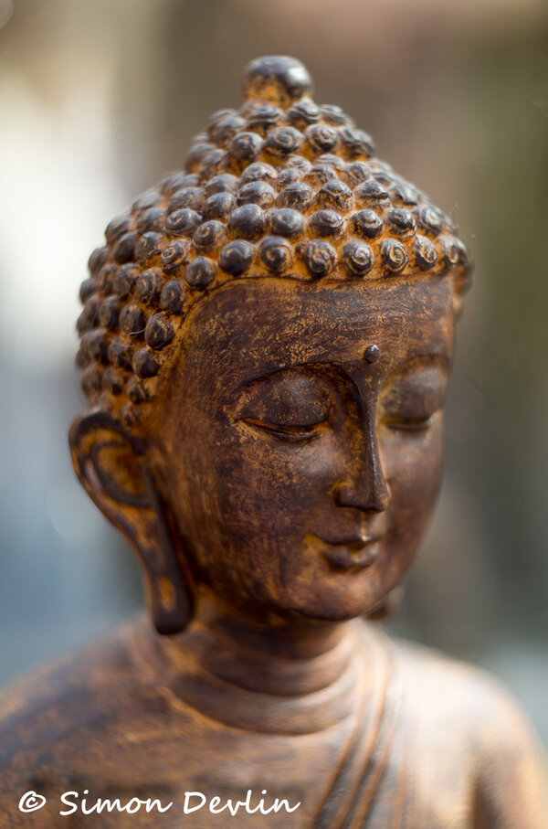 _IGP4859.jpg _IGP4859.jpg