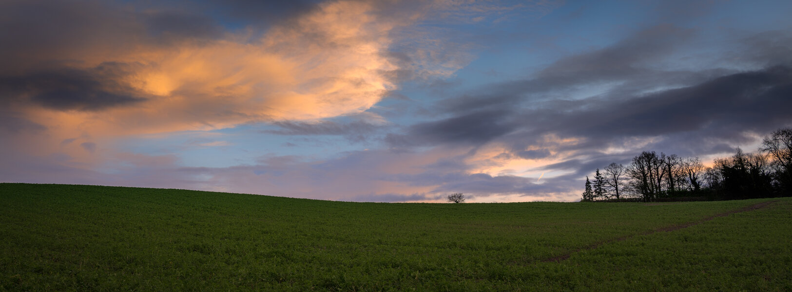 53518535542_81726aacde_o.jpg 53518535542_81726aacde_o.jpg