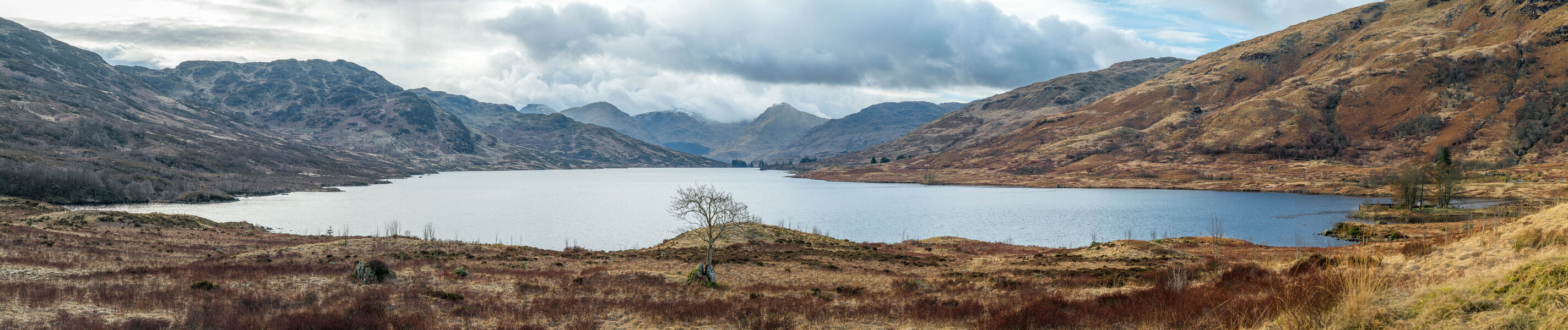 53440178398_d62b0b5e98_o.jpg 53440178398_d62b0b5e98_o.jpg