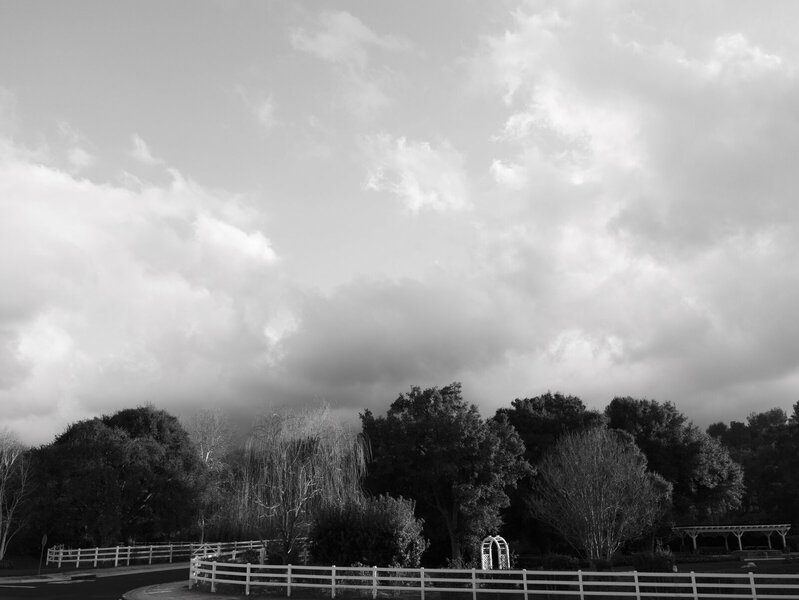 Leica Monochrome.jpg