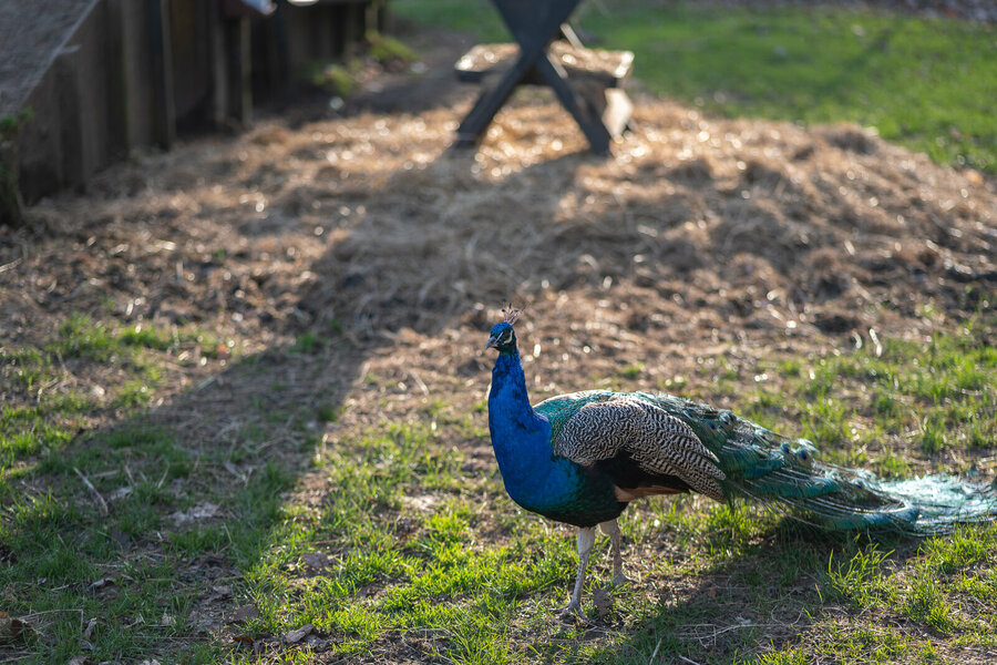 PANA0337-small.jpg PANA0337-small.jpg