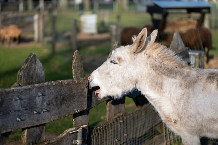 PANA0326.jpg PANA0326.jpg