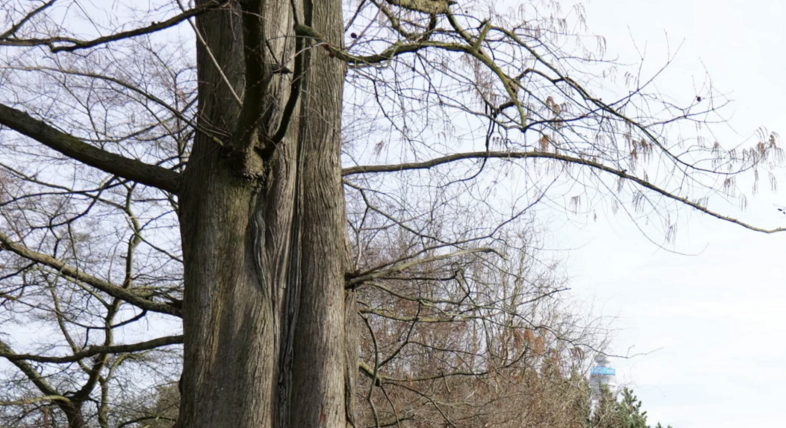 1709561771588.png 1709561771588.png