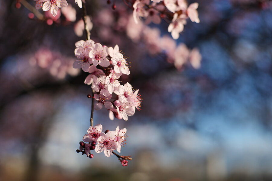 53557559545_fe3ee6f5e1_b.jpg 53557559545_fe3ee6f5e1_b.jpg