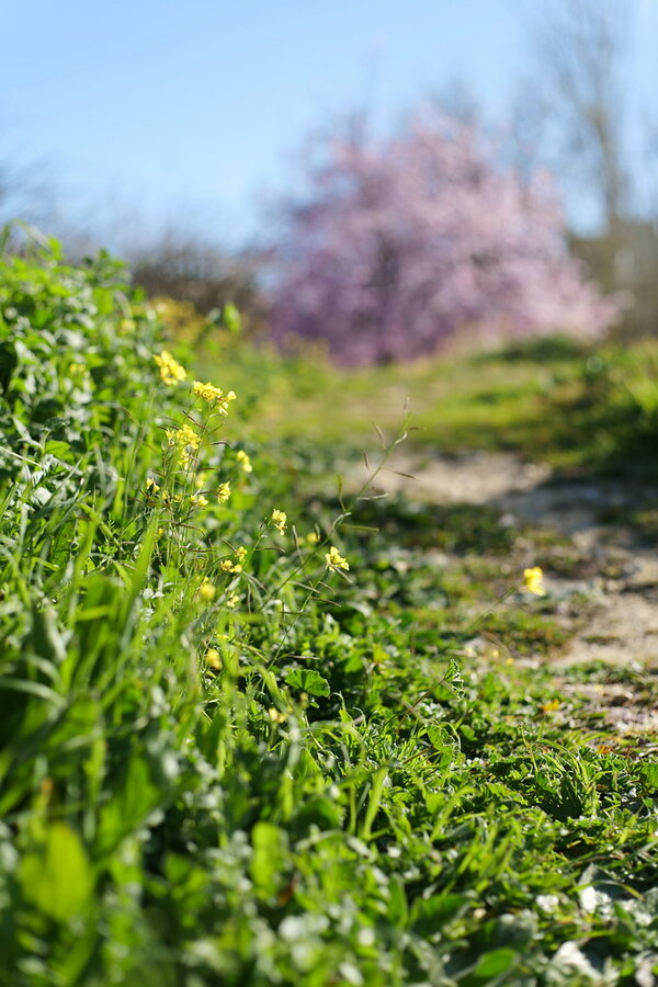 53564366755_f8705d8541_b.jpg 53564366755_f8705d8541_b.jpg