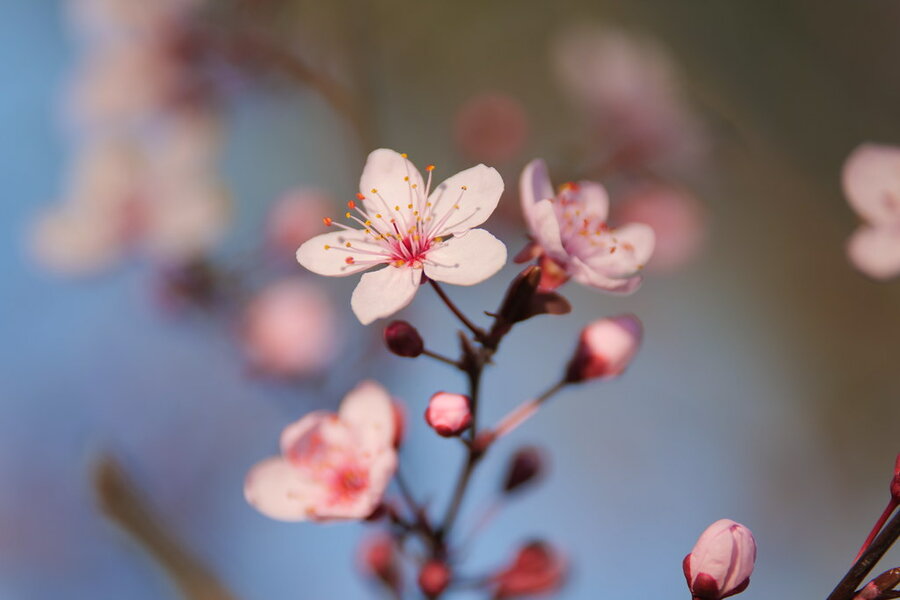 53534675992_69cb92c4ce_b.jpg 53534675992_69cb92c4ce_b.jpg