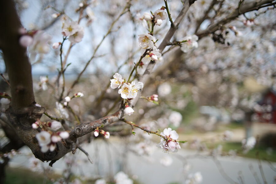 53569246663_c113a2dea9_b.jpg 53569246663_c113a2dea9_b.jpg