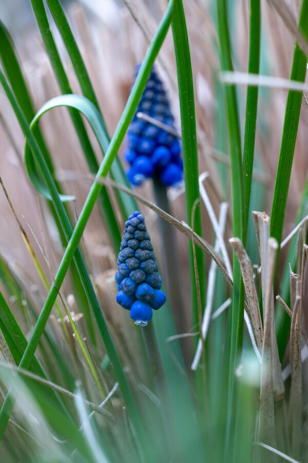 IMG_7097.jpeg IMG_7097.jpeg