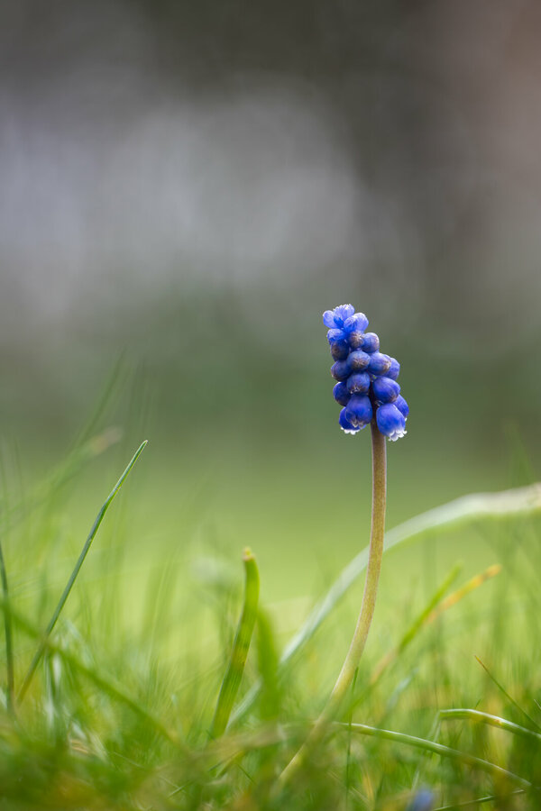 IMG_7096.jpeg IMG_7096.jpeg