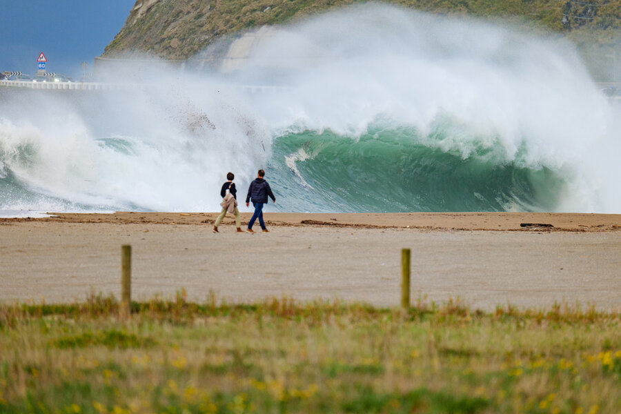 IMG_3520.jpeg IMG_3520.jpeg