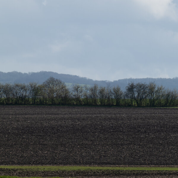 PS1R5631_1600.jpg PS1R5631_1600.jpg