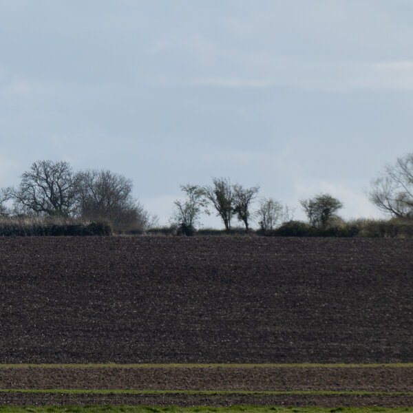 PS1R5631_1600.jpg PS1R5631_1600.jpg