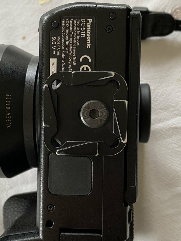 IMG_5942.jpeg IMG_5942.jpeg