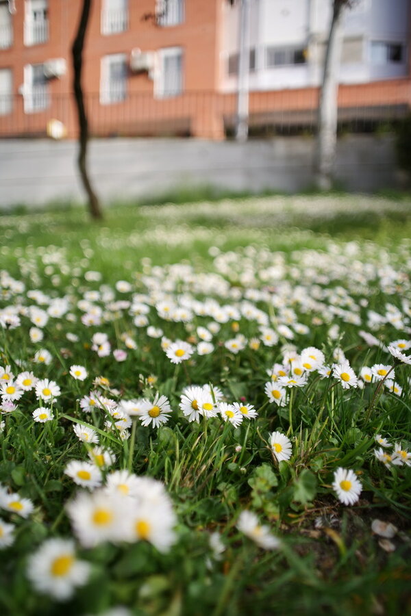 53638333581_ca6482a4db_b.jpg 53638333581_ca6482a4db_b.jpg