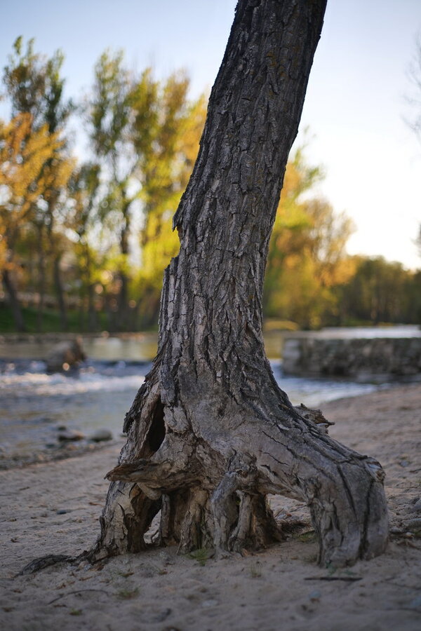 53654289539_5cd03de310_b.jpg 53654289539_5cd03de310_b.jpg