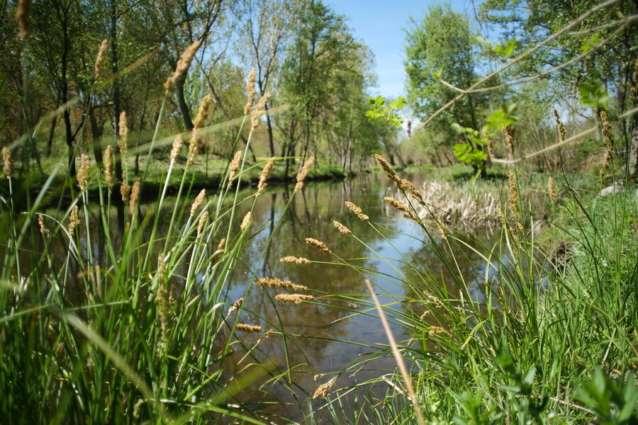 53657800949_744a1f596f_b.jpg 53657800949_744a1f596f_b.jpg