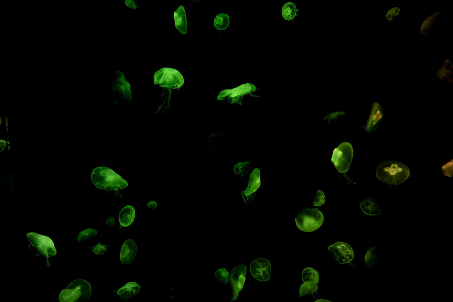 53537979519_b7fc46b4a5_k.jpg 53537979519_b7fc46b4a5_k.jpg