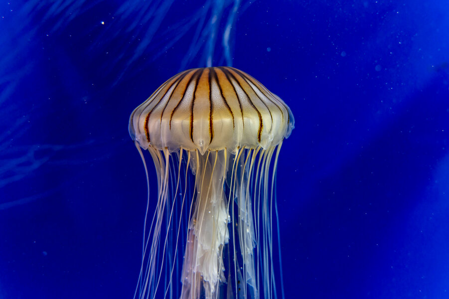 53537656596_bc32f25854_k.jpg 53537656596_bc32f25854_k.jpg