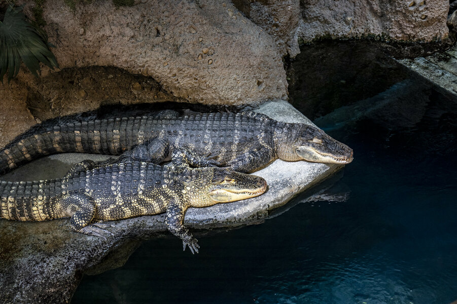 53594801824_72d8d57ddb_k.jpg 53594801824_72d8d57ddb_k.jpg