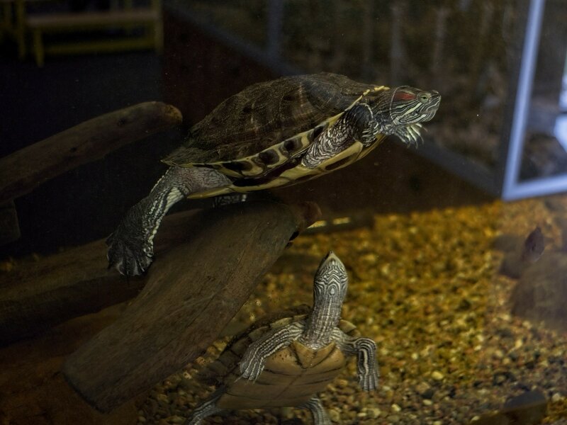 53662067640_53e4096b6d_k_d.jpg 53662067640_53e4096b6d_k_d.jpg