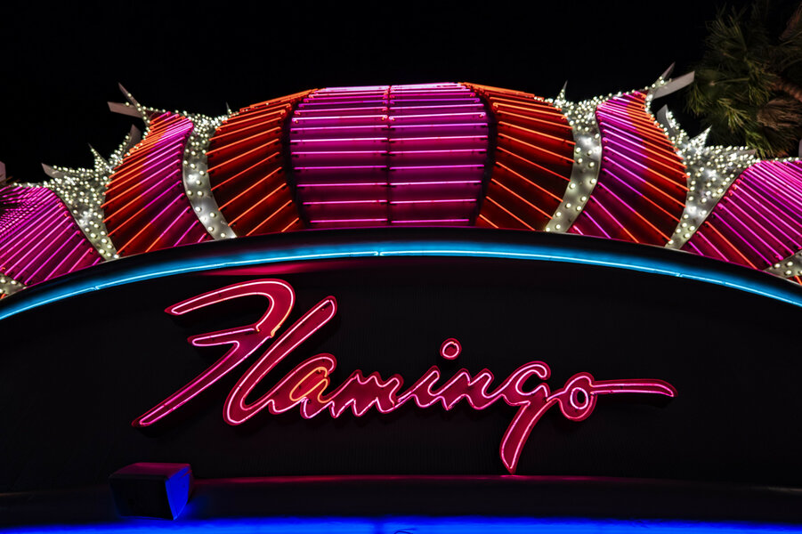 53428154476_e49c541376_k.jpg 53428154476_e49c541376_k.jpg