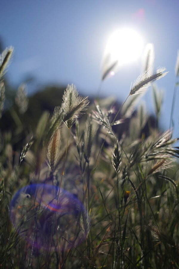 53663460795_dfe3a63dbd_b.jpg 53663460795_dfe3a63dbd_b.jpg