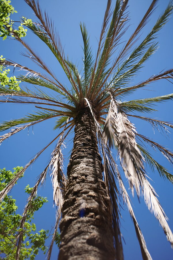 53702297953_d3a72bd144_b.jpg 53702297953_d3a72bd144_b.jpg