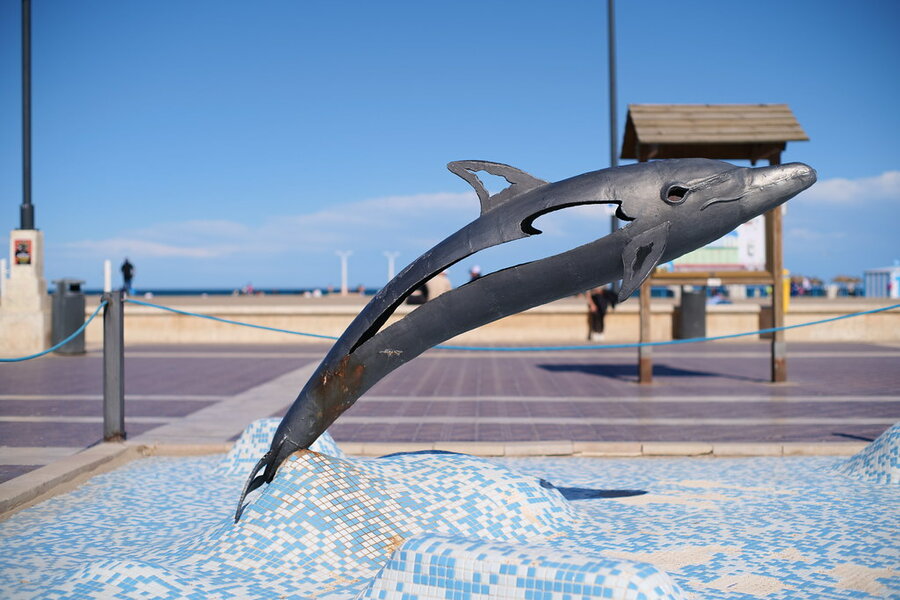 53702296198_4903463560_b.jpg 53702296198_4903463560_b.jpg